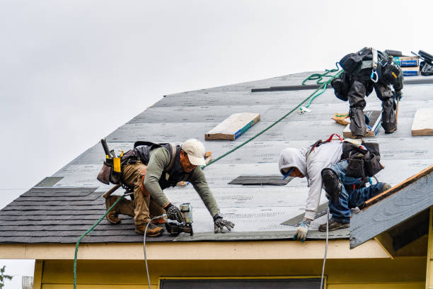 Professional Storm Damage Roof Repair technician working in Hanceville, AL